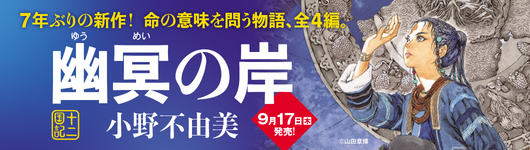 小野不由美『幽冥の岸 十二国記』